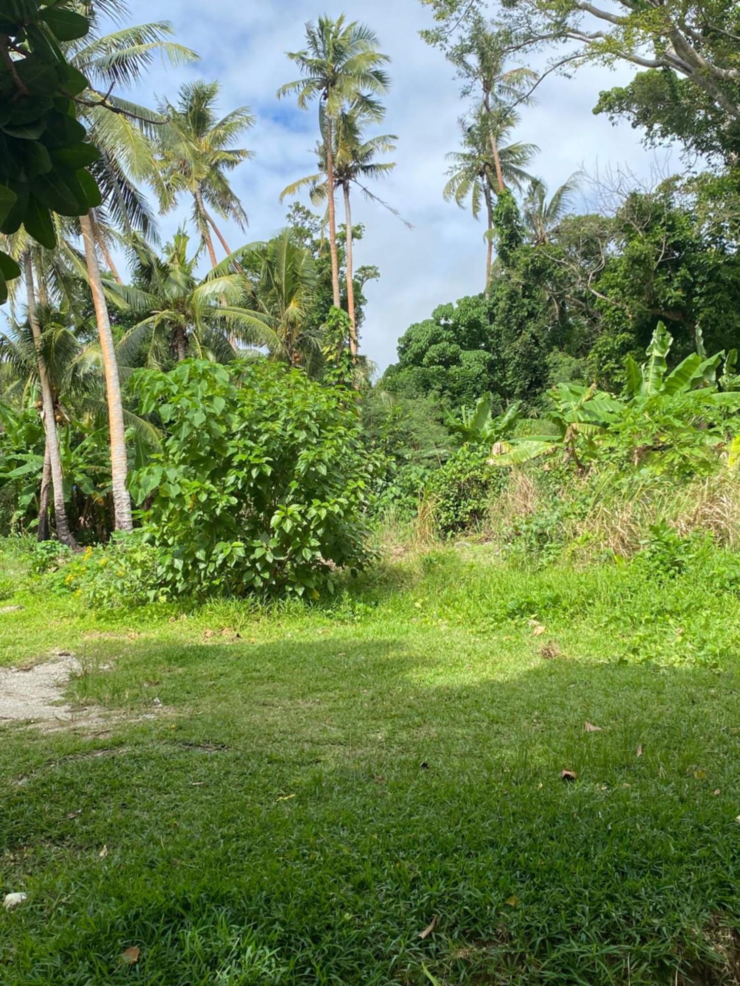 Vatupau Beachfront Bungalows Port Vila Dış mekan fotoğraf